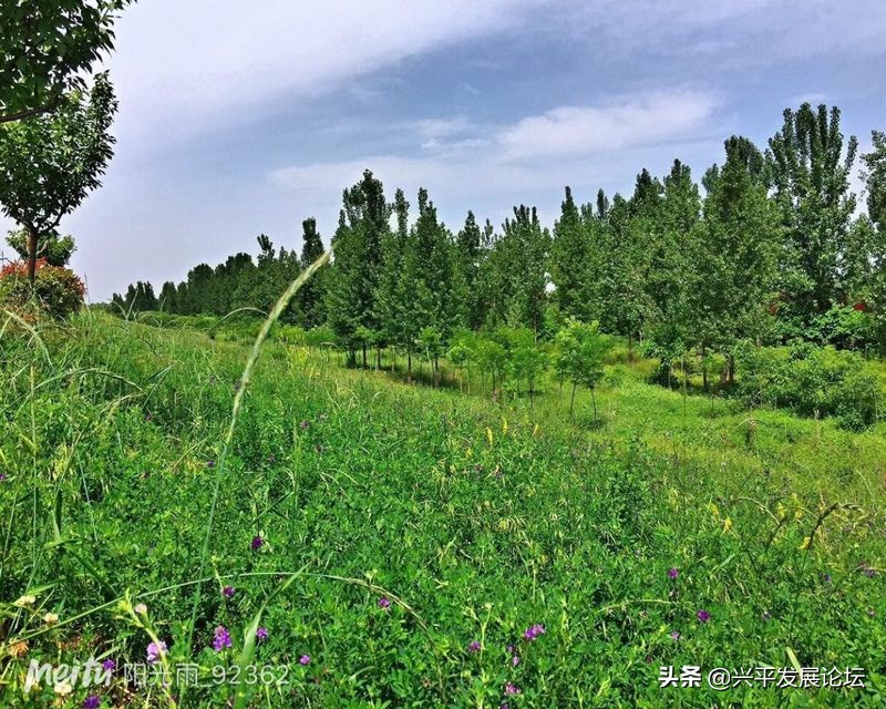 回忆过去珍惜现在展望未来,回忆过去珍惜现在的句子