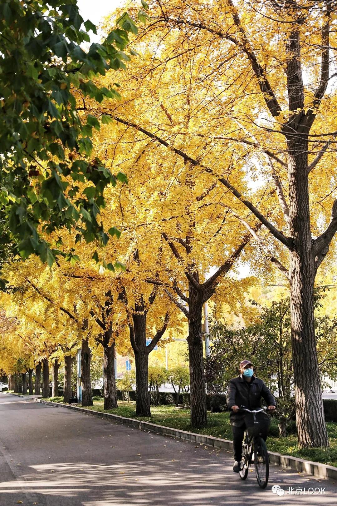 帝都三里屯,最新三里屯