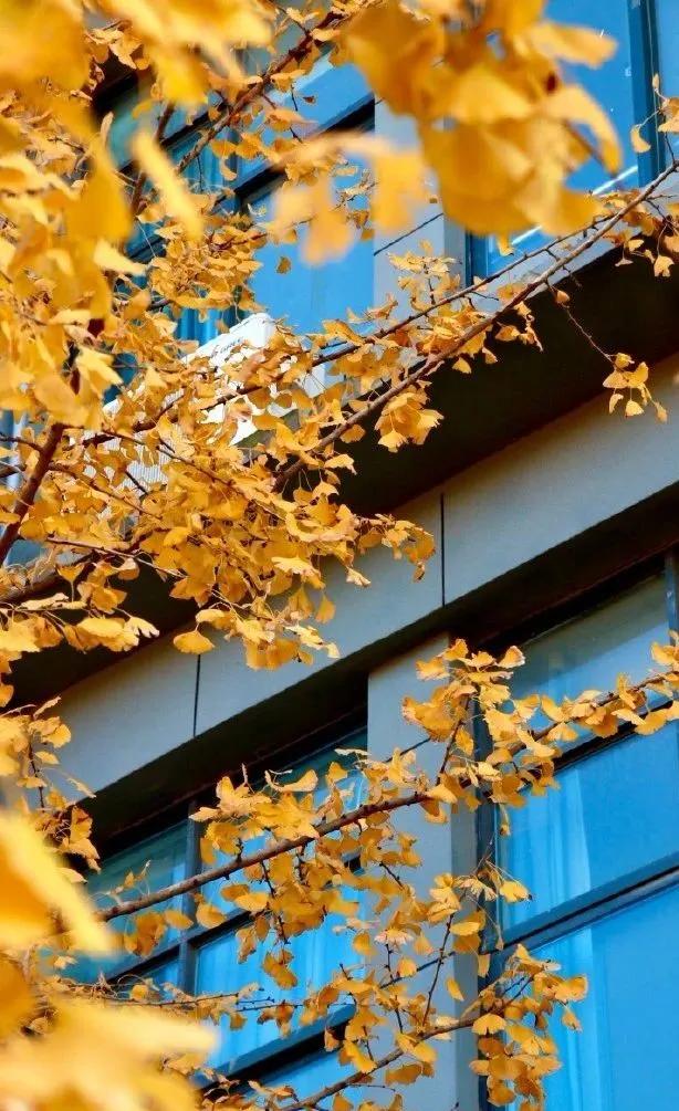 说一说周口师范学院,河南之最之周口师范学院