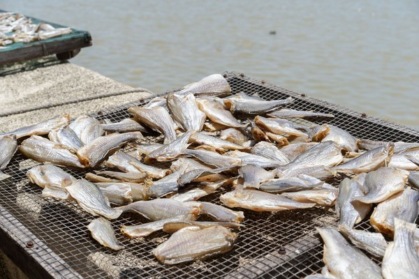广州南沙最美风景区,南沙湾区超美风景线