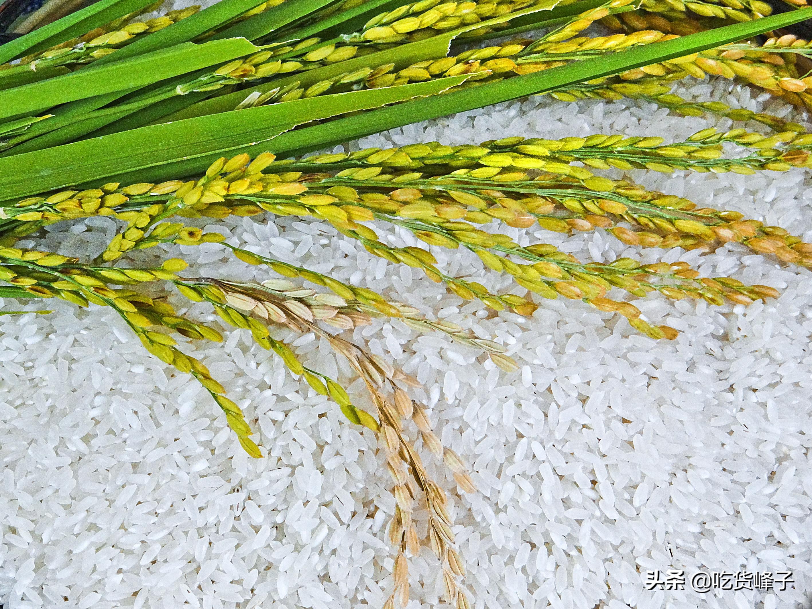 特殊时期不能出门储存的食物,家中存储8种食物