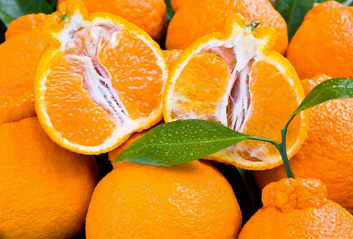 丑橘怎么挑,丑橘要怎么选才能选到最甜