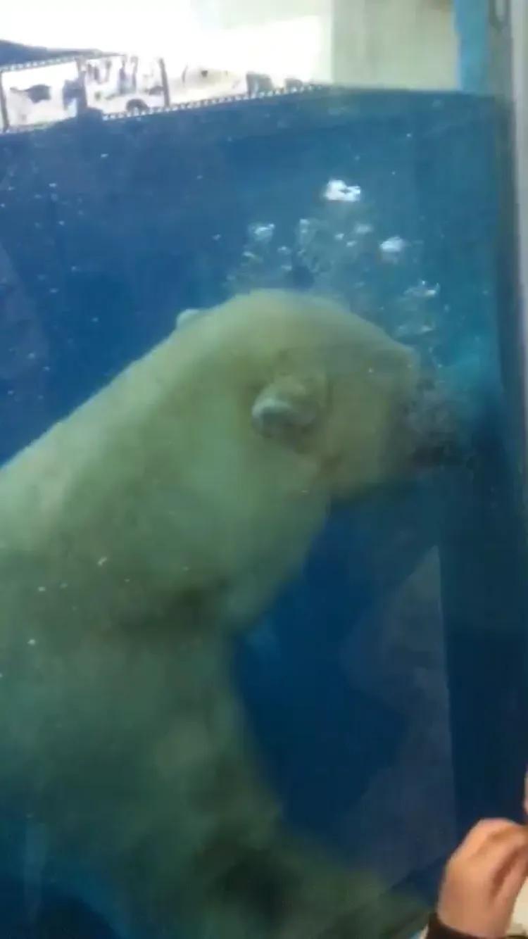 南京海底世界游览图,南京海底世界门票