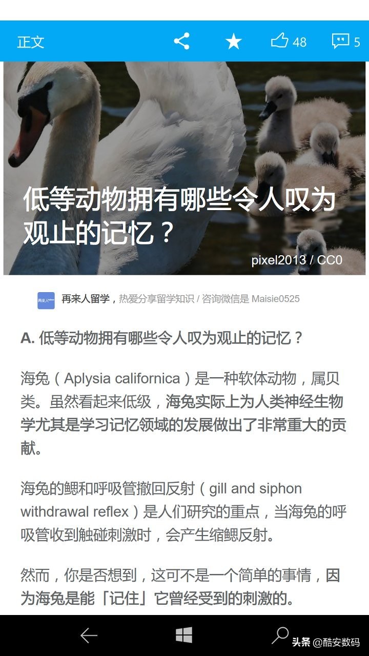 win10mobile,windows10mobile