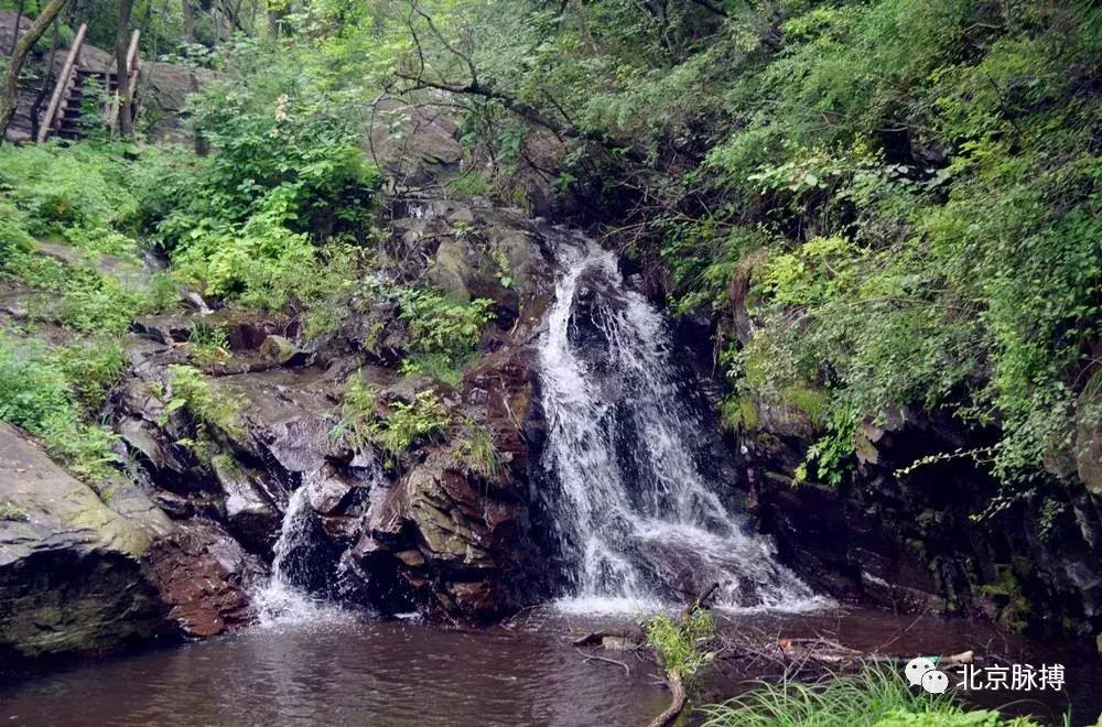 北京国家森林公园风景,画说北京故事