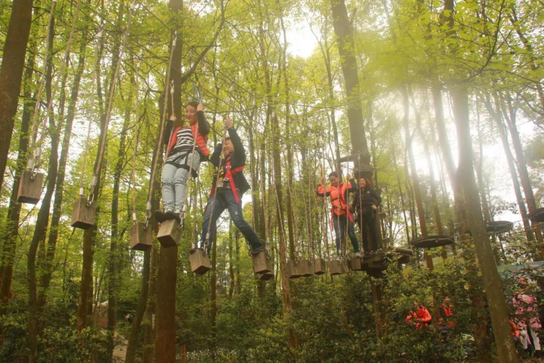 乡村休闲旅游线路,四川50条乡村旅游精品线路