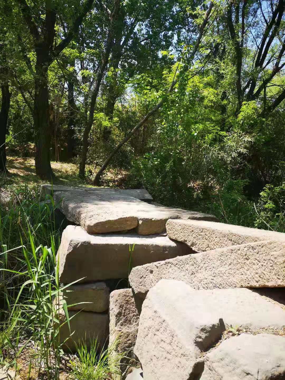 什么是最好的院子,什么样的院子