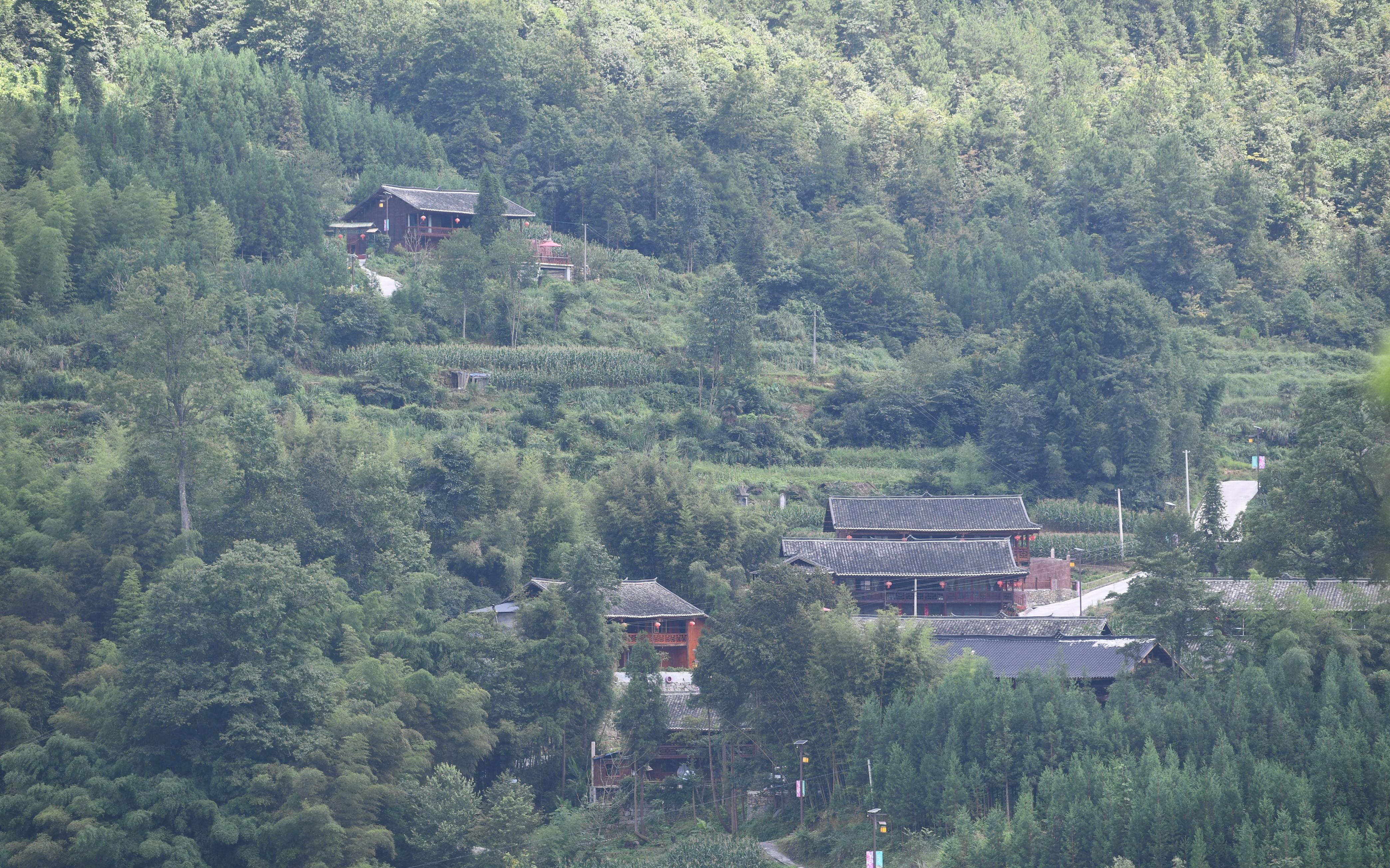土家村寨枫香河：木楼重生追回落后的三十年