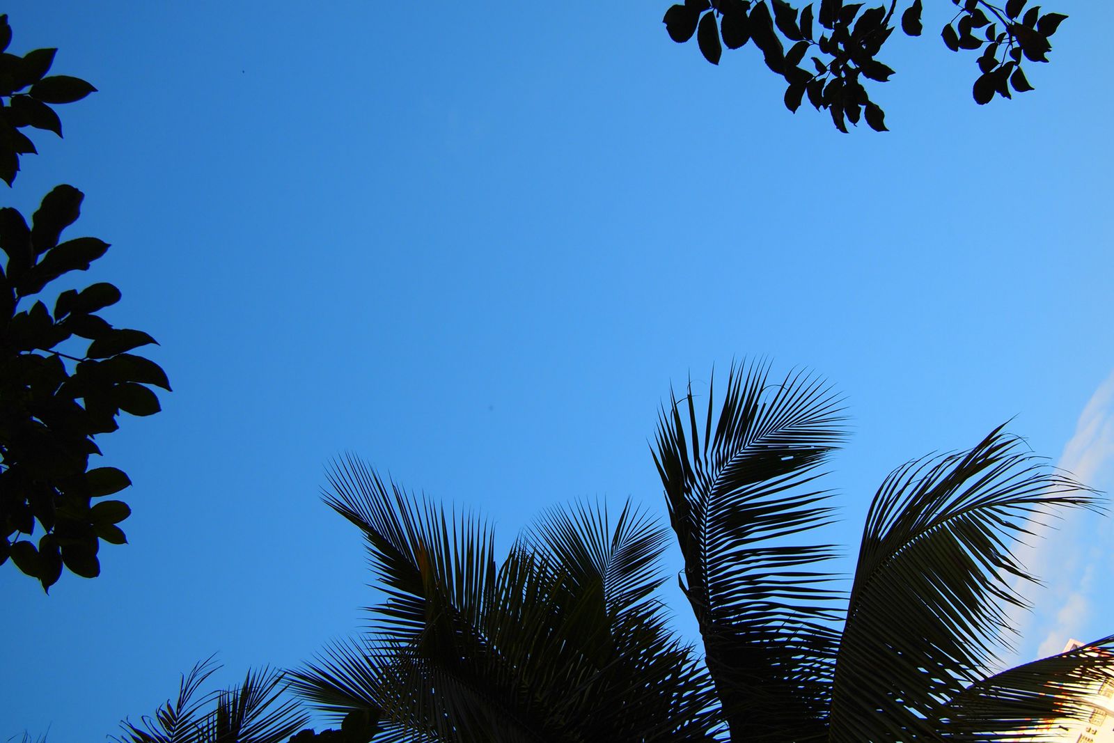 海南自驾租车推荐车型最新,海南517驿站租车价格表