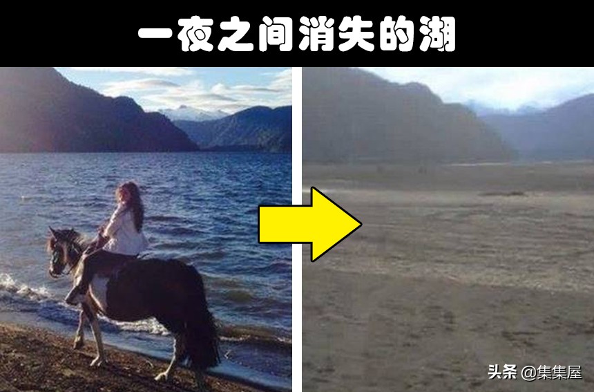 地球上非常罕见的动物现象,地球上十大罕见自然现象