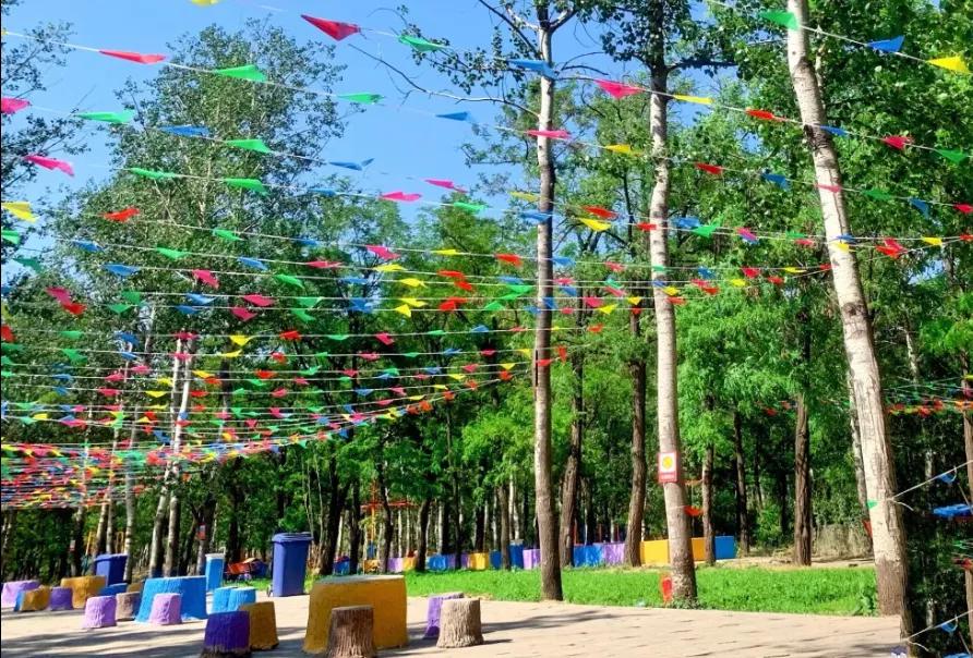 一个不出郑州的踏青好去处,天津春游公园推荐