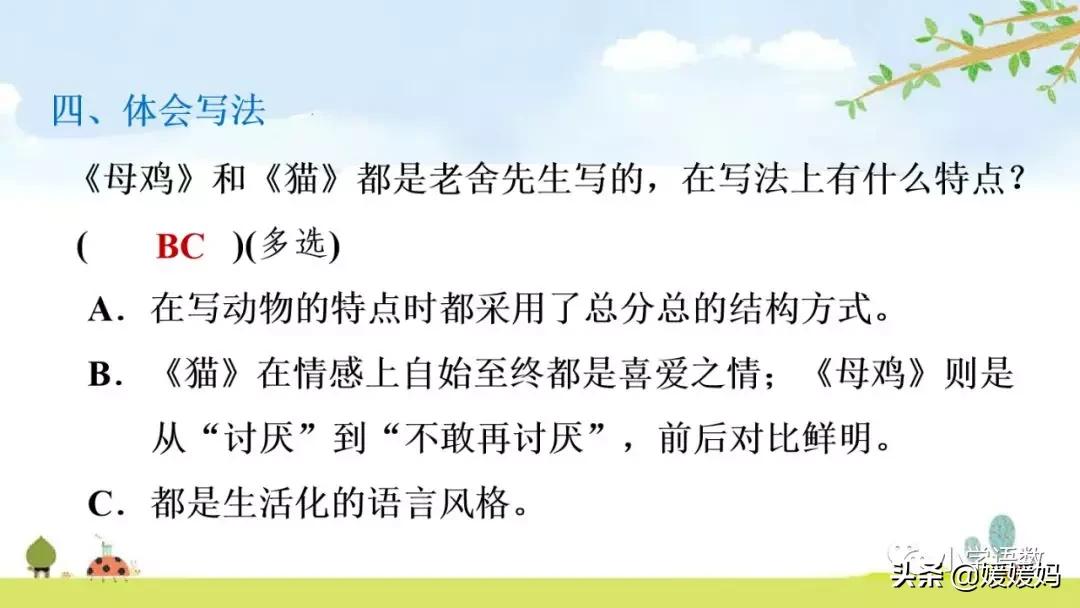 四年级下册第13课小练笔仿写母鸡,四年级下册14课母鸡的预习完整版