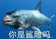 你老公会偷用你的化妆品吗?网友的回复炸天了!哈哈哈