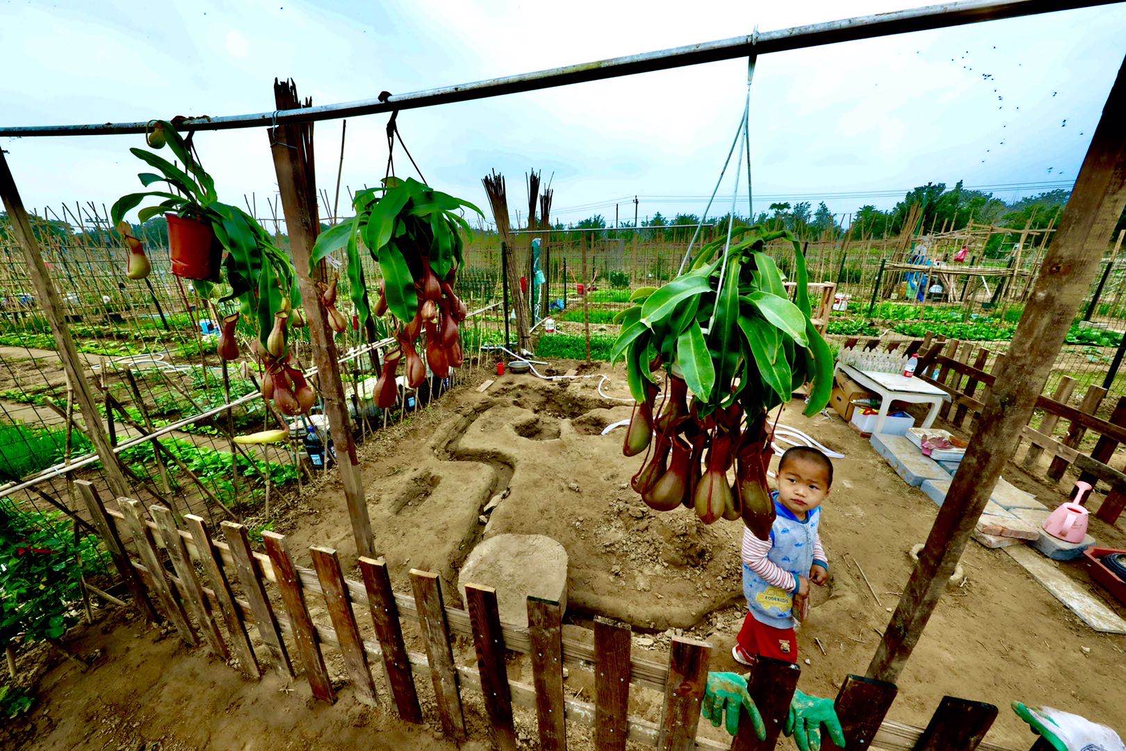 独家光影｜卢沟桥农场：打造永定河畔的观光休闲农业