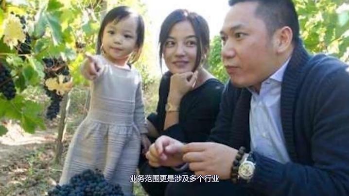 赵薇和黄晓明真实关系,赵薇与黄晓明的关系