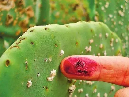 口红的制作原理,口红化学制作