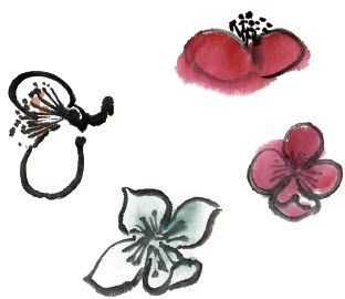 零基础梅花花朵入门画法,零基础学国画梅花入门步骤