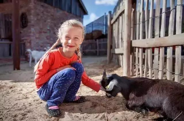 德国卡尔斯农场,德国卡尔斯草莓