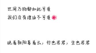 我花三块钱买了朋友圈人设服务,然后我的人设崩了