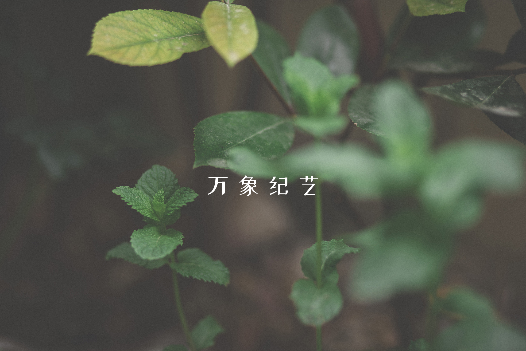 手绘屏保图片手机壁纸,手机壁纸屏保图片可保存至相册