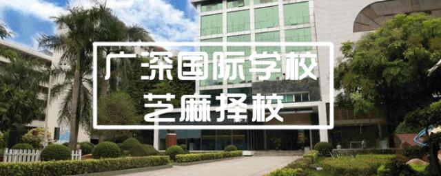 深圳桃源居中澳实验学校港澳班,深圳桃源居中澳实验学校研学
