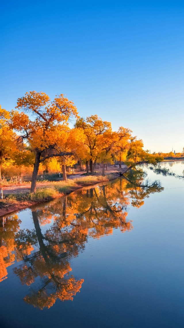 从磁带到CD，从MP3到智能音箱，音乐*放播**器暴露你的年龄