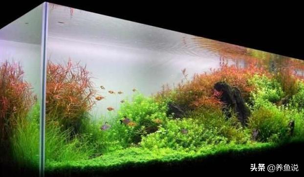 鱼缸造氧方法,鱼缸空气缸怎么形成的