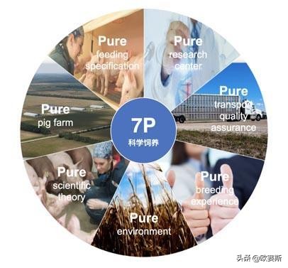 欧赛斯的产品怎么样,欧赛斯超级案例详解