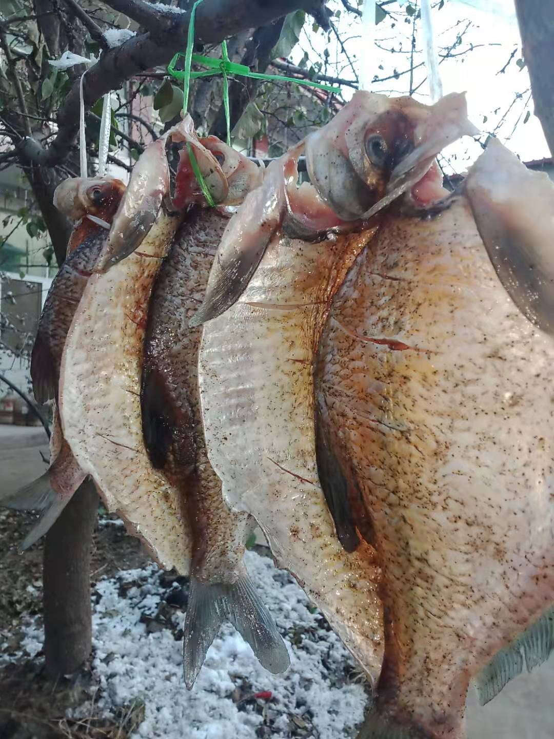 风干好的五香鱼怎么做好吃,风干鱼制作全过程教程