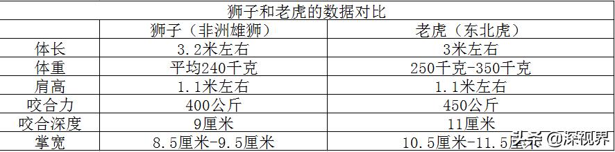 老虎狮子为什么老虎是森林之王,到底是狮子更厉害还是老虎更厉害