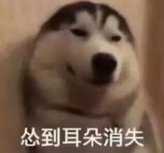 狗狗绝育vs不绝育差别还是很大的,狗狗应该绝育么