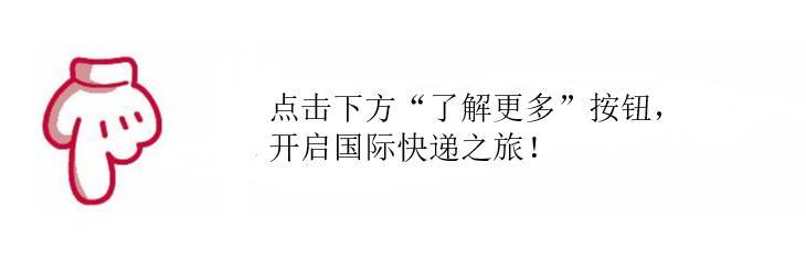 自制食品可以寄快递吗,食品寄到国外用什么快递