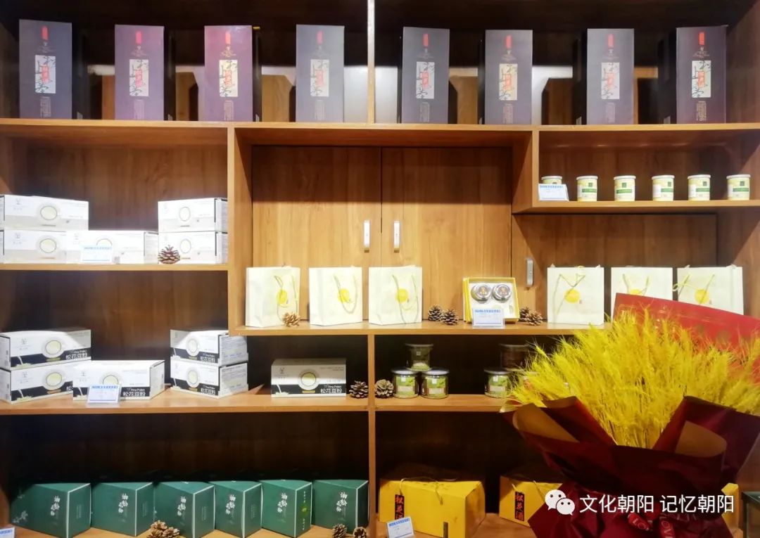 “塞上松”为锦绣之州锦上添花