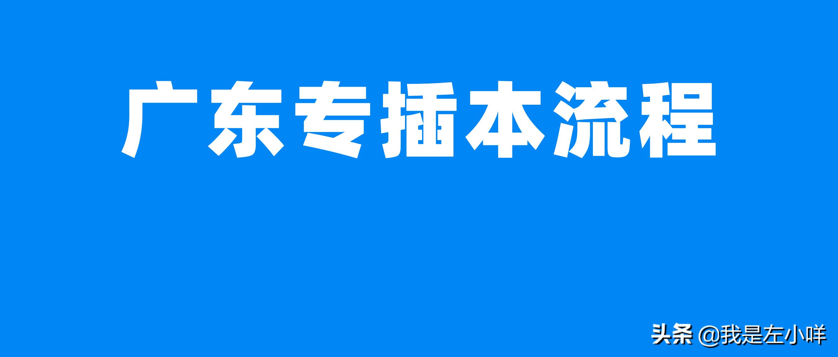 应届毕业生怎么报考广东专插本,专插本广东报考流程
