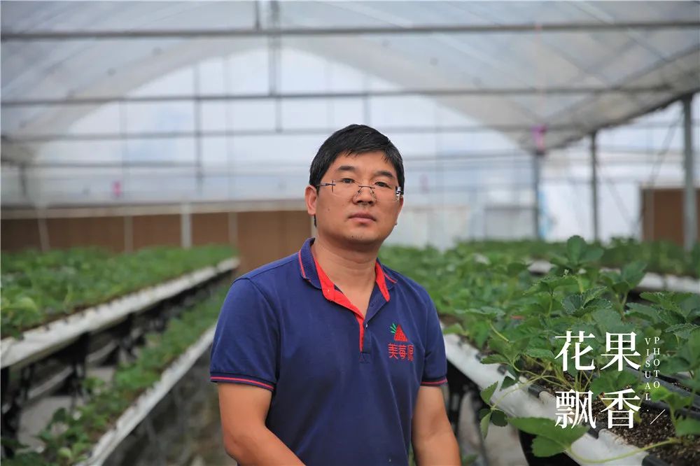 刘博士教种地,刘博士生涯规划