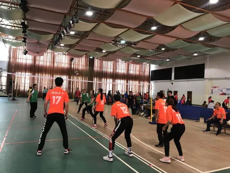 2024德州职工气排球,德州市气排球比赛