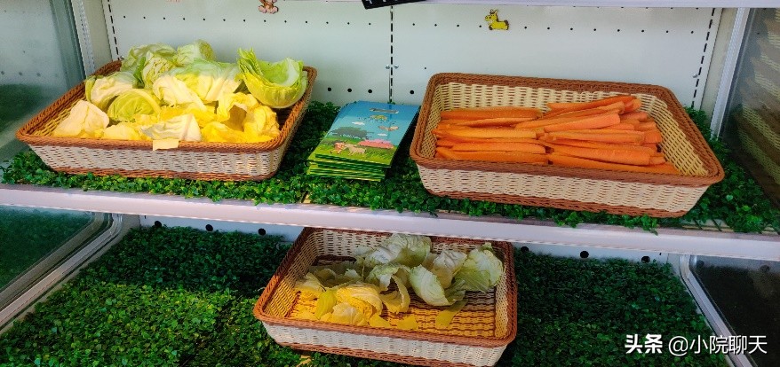 北京大兴野生动物园游玩推荐攻略,北京大兴野生动物园最佳游览路线