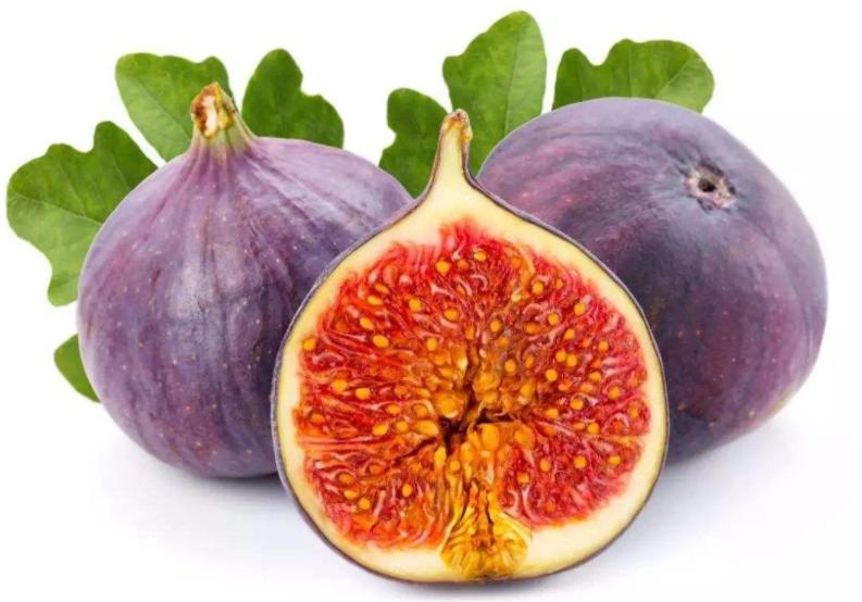 种植农作物一亩能赚多少,种植什么农作物赚钱快不愁卖