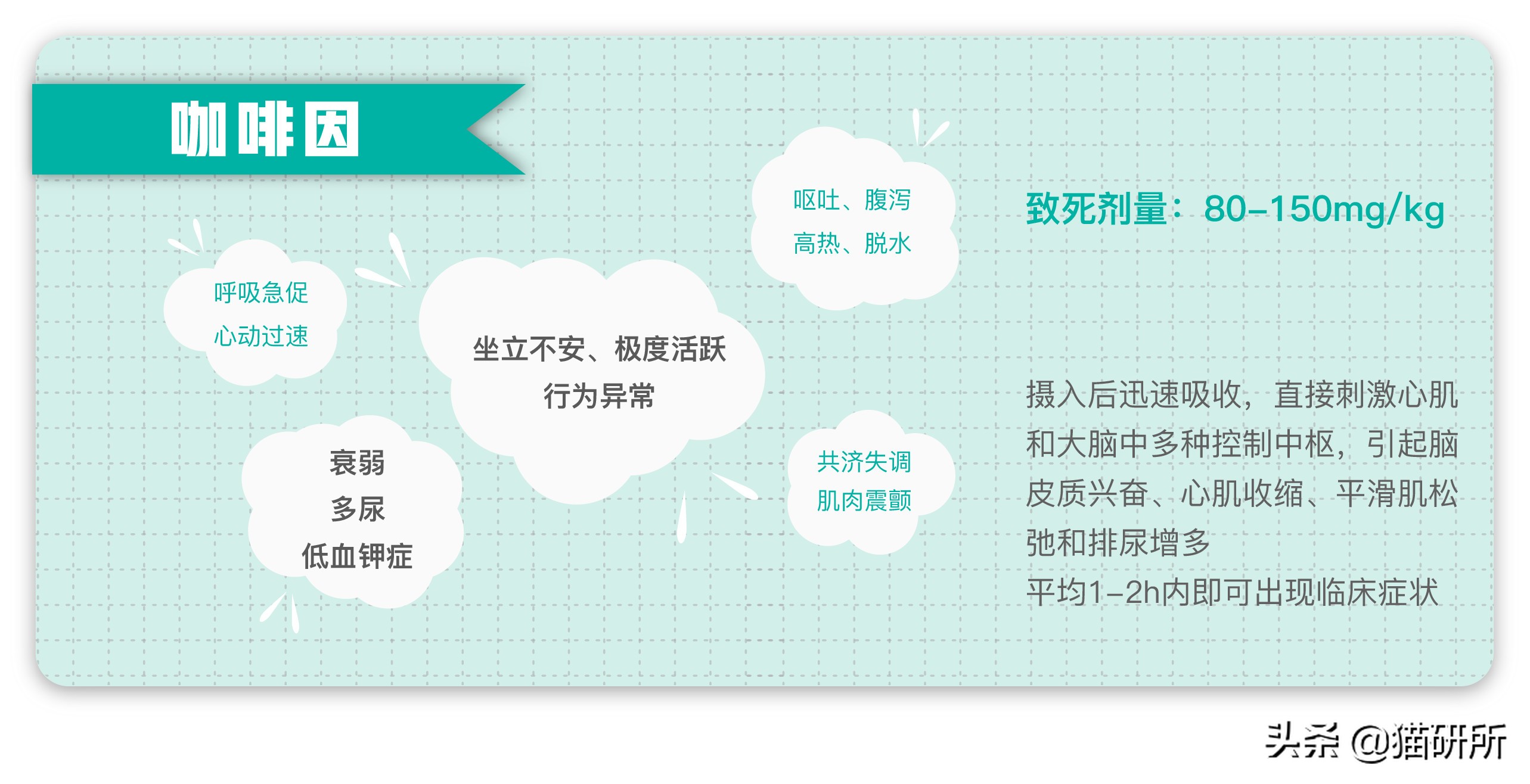 给猫粮投毒辟谣,猫吃人用感冒药吗