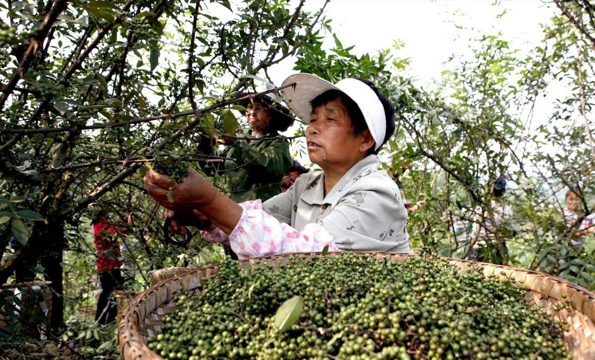 暴利工业废料变废为宝,重庆大叔将加工废蒸汽变废为宝