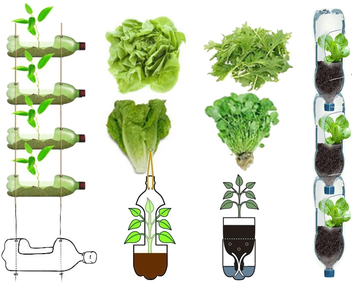 一个世界上还没有人想过的主意——超级塑料瓶船