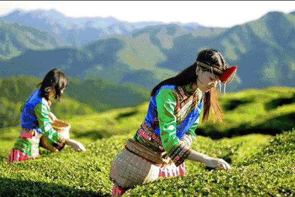 大理网红地方有哪些,云南大理网红景点洱海