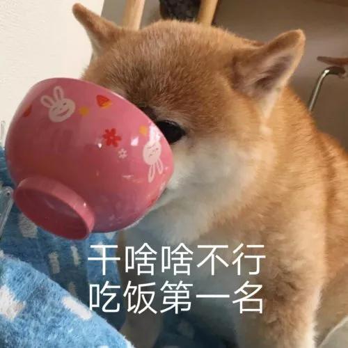 表情包搞笑沙雕惊讶的表情包,沙雕搞笑表情包动态