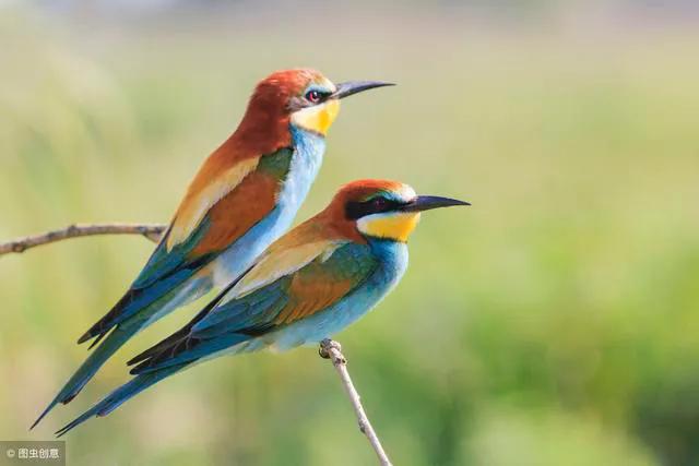 关于思乡送别爱国田园风光的古诗,有关爱国情怀边塞古诗词