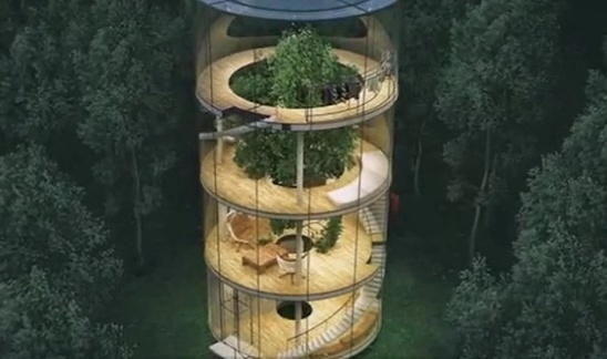 玻璃房建造的全过程,森林玻璃房建造