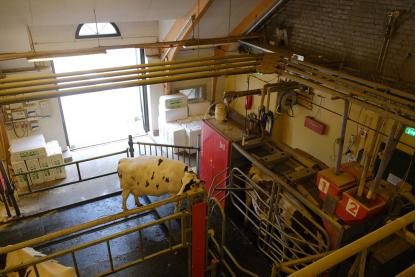 北活游记|来源于自然的食物，都比想象中的更美味，比如芬兰