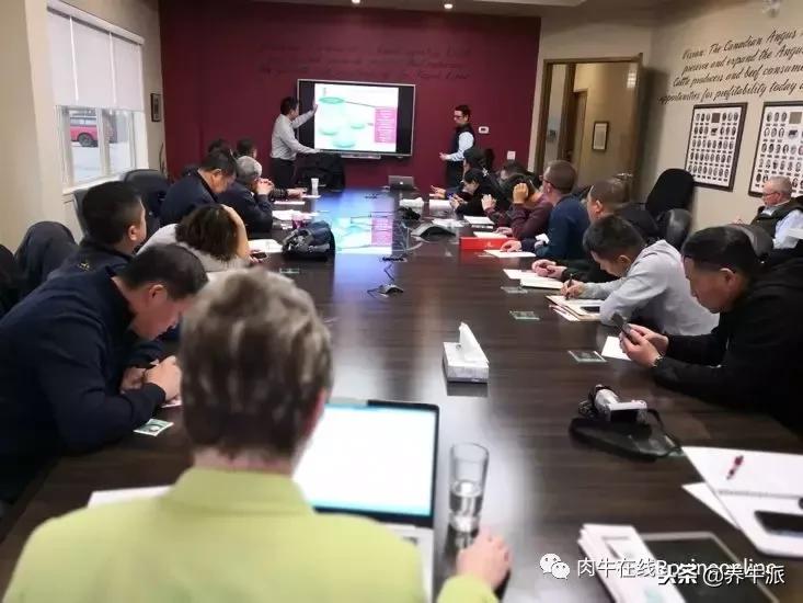加拿大肉牛产业发展动态,加拿大肉牛发展