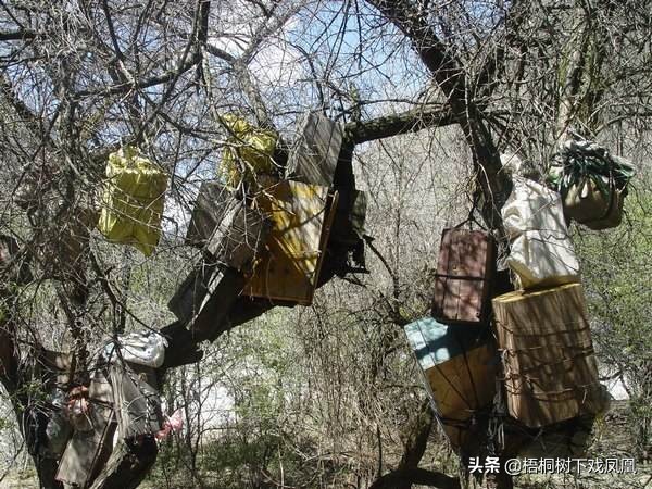 排棺葬的最佳方法,悬棺葬的详细流程