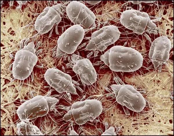 空调泡沫清洁剂清洗空调视频,泡沫清洗剂清洗空调流程