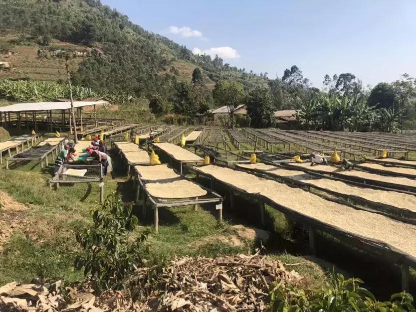 曾一天卖掉一年的量！尝到甜头的非洲老铁，这次想承包中国的年货